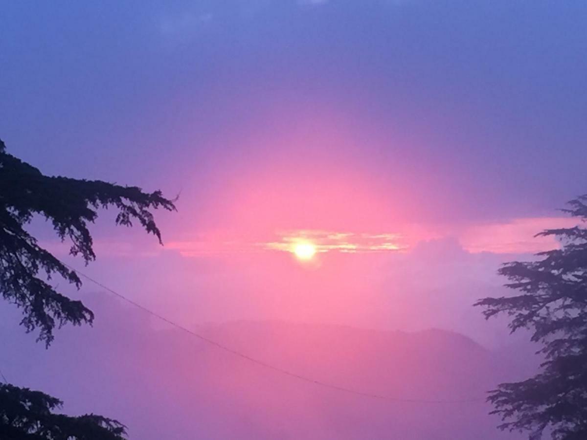 Simla View Bed & Breakfast Exterior foto